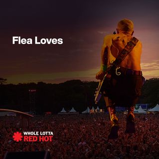 Flea Loves