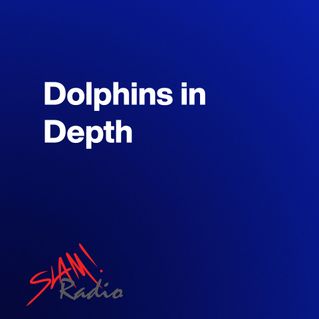 Dolphins in Depth