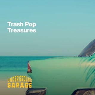 Trash Pop Treasures