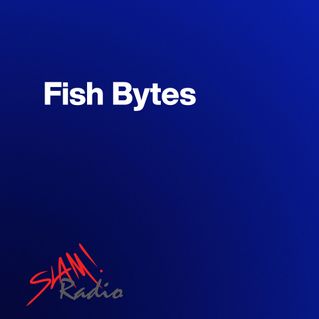 Fish Bytes