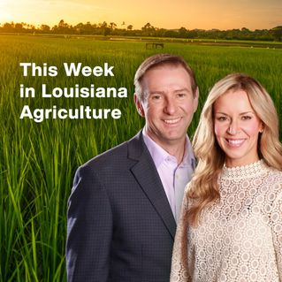 This Week in Louisiana Agriculture