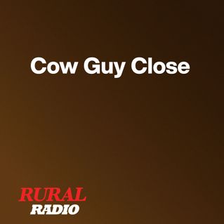 Cow Guy Close