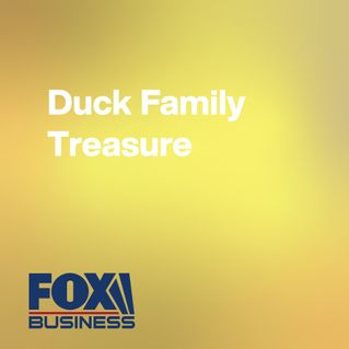 Duck Family Treasure