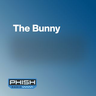 The Bunny