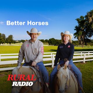 Better Horses