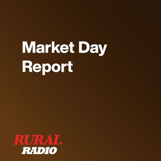 Market Day Report