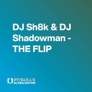 DJ Sh8k & DJ Shadowman - THE FLIP