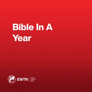 Bible In A Year