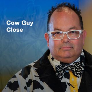 Cow Guy Close