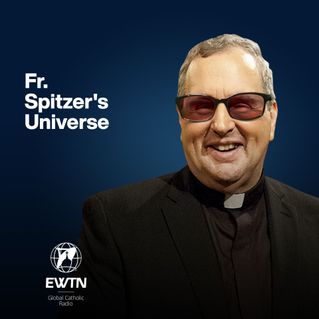 Fr. Spitzer’s Universe